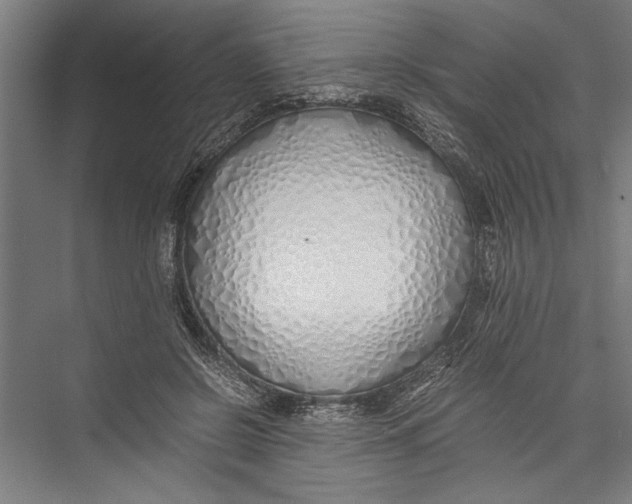 X0000075410550200610062000