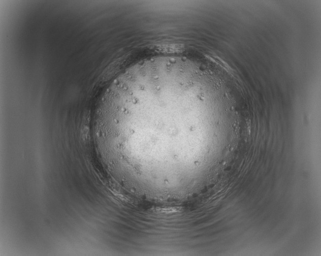 X0000075410553200610062000