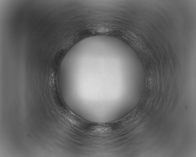 X0000075410555200610062000