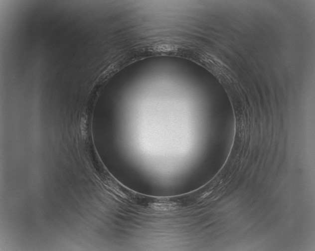 X0000075410556200610062000