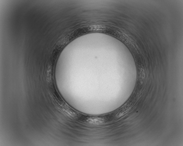 X0000075410557200610062000