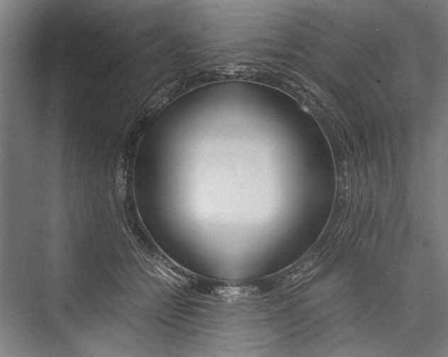 X0000075410558200610062000