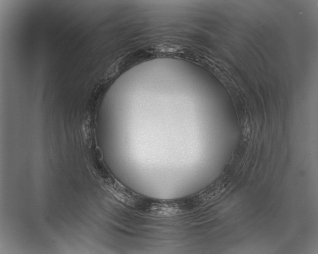 X0000075410559200610062000