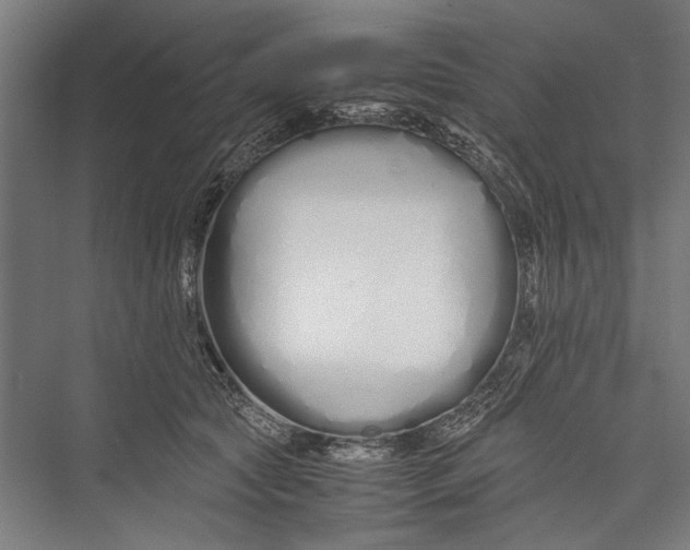 X0000075410561200610062000