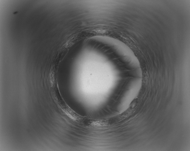 X0000075410568200610062000