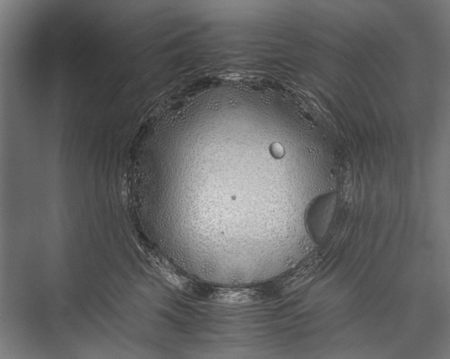 X0000075410569200610062000