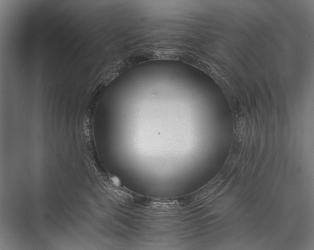 X0000075410571200610062000