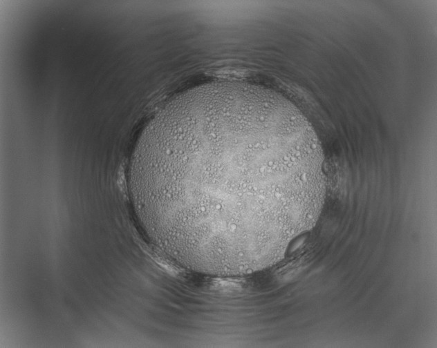 X0000075410573200610062000