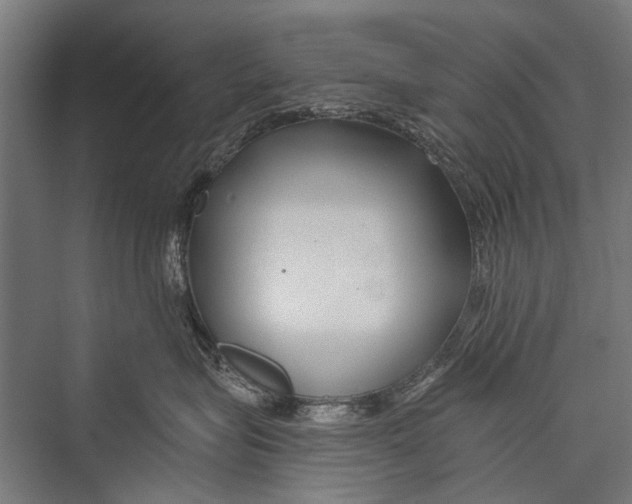 X0000075410575200610062000