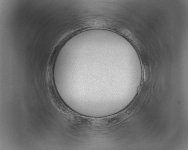 X0000075410579200610062000