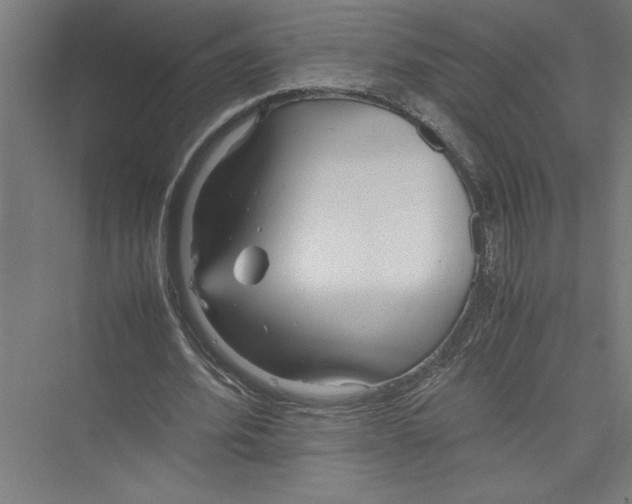 X0000075410580200610062000