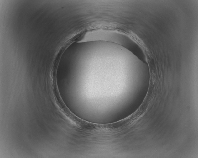 X0000075410581200610062000