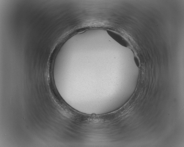 X0000075410582200610062000