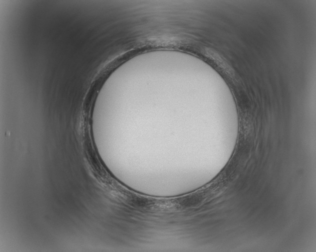 X0000075410583200610062000