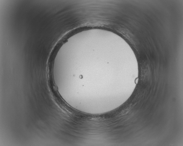 X0000075410584200610061959