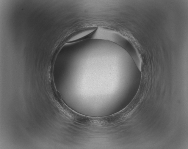 X0000075410585200610061959