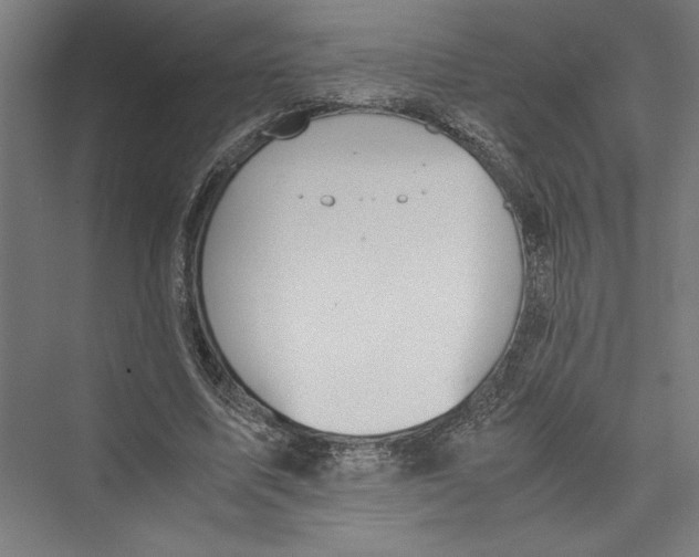 X0000075410587200610061959