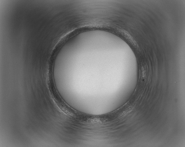 X0000075410588200610061959