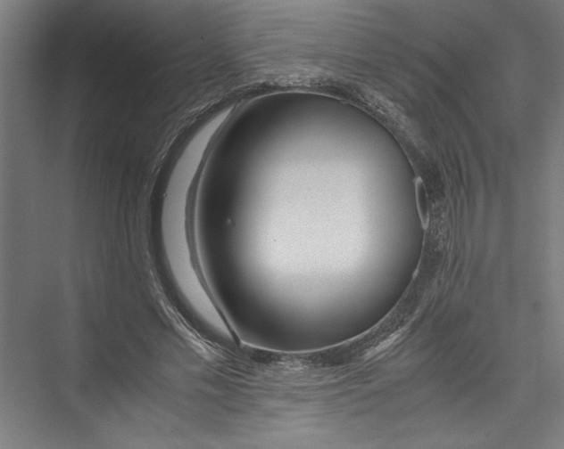 X0000075410589200610061959