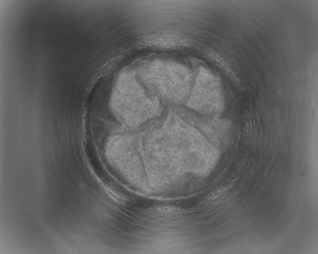 X0000075410590200610061959