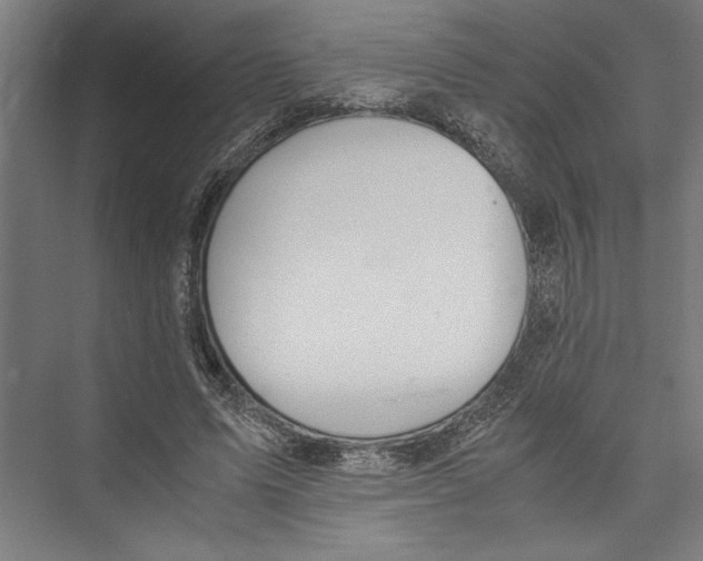 X0000075410591200610061959