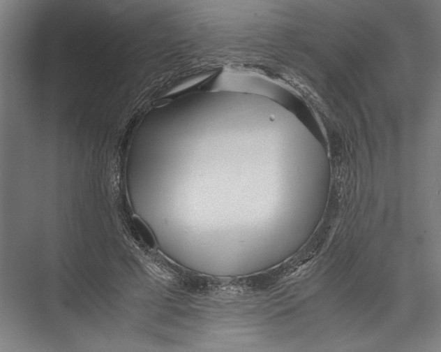 X0000075410593200610061959