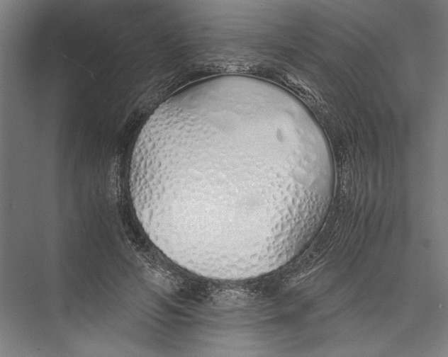 X0000075410594200610061959