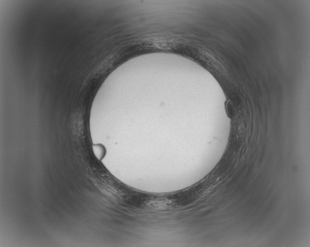 X0000075410595200610061959