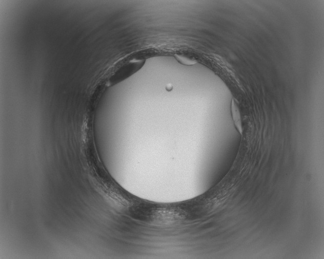 X0000075410596200610061959