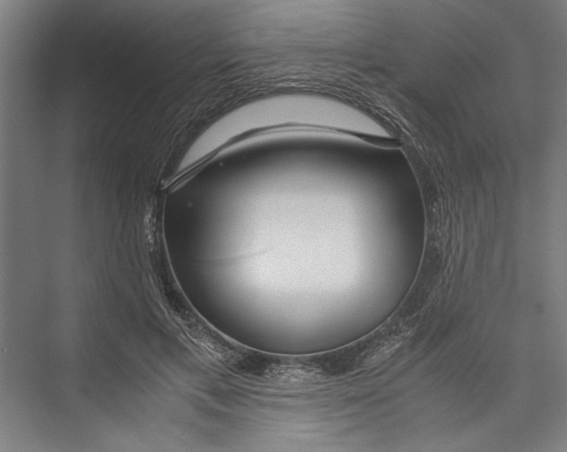 X0000075410597200610061959