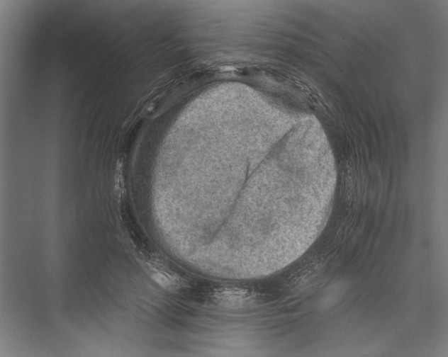 X0000075410598200610061959