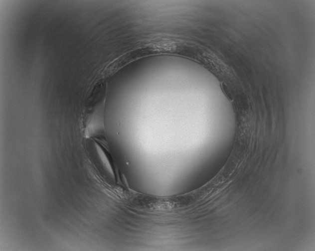 X0000075410600200610061959