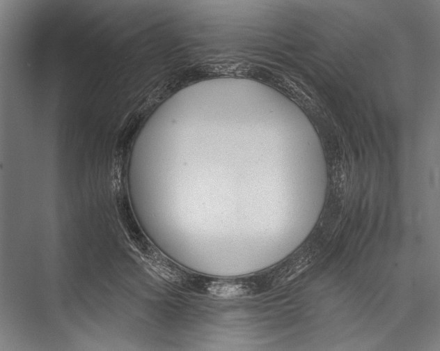 X0000075410602200610061959