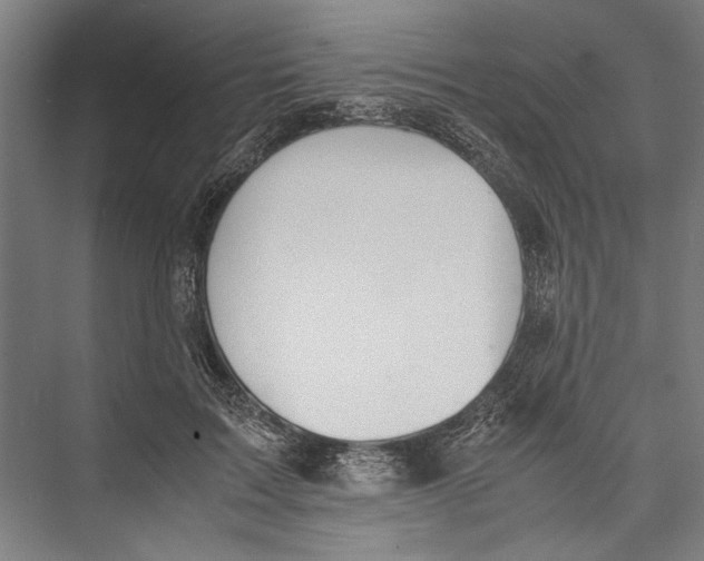 X0000075410603200610061959