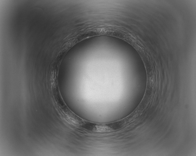 X0000075410605200610061959