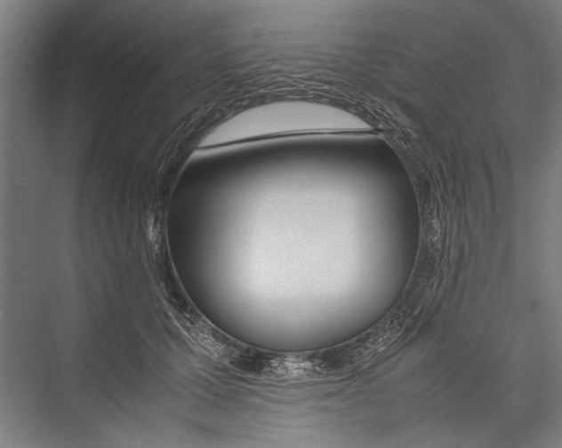 X0000075410607200610061959