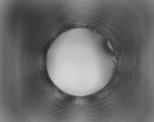 X0000075410608200610061959