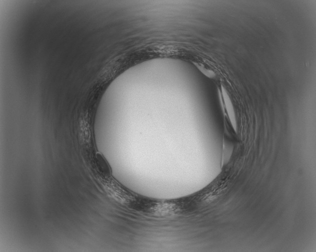 X0000075410609200610061959