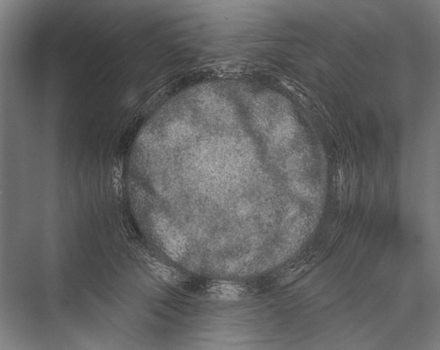 X0000075410610200610061959