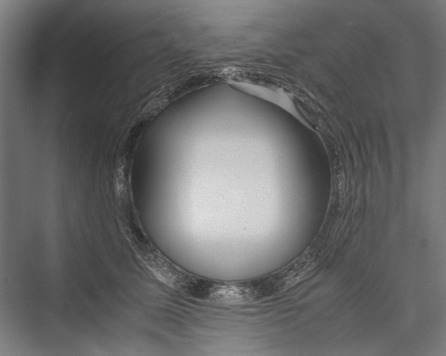 X0000075410611200610061959