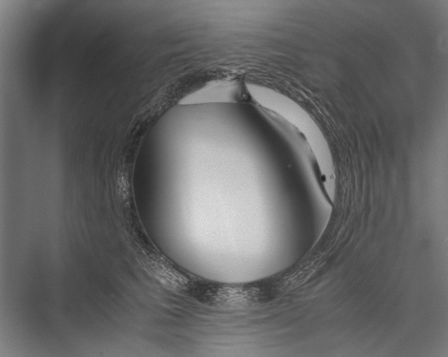 X0000075410613200610061959