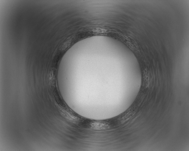 X0000075410614200610061959