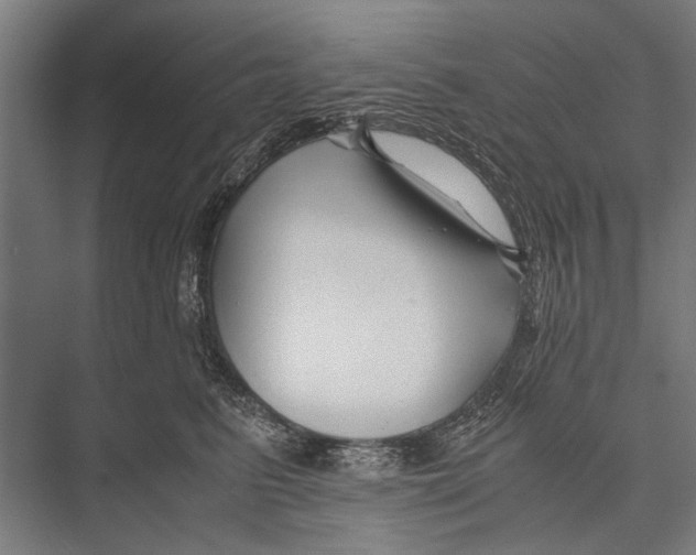 X0000075410615200610061959