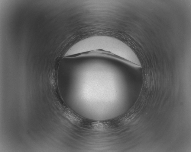 X0000075410616200610061959