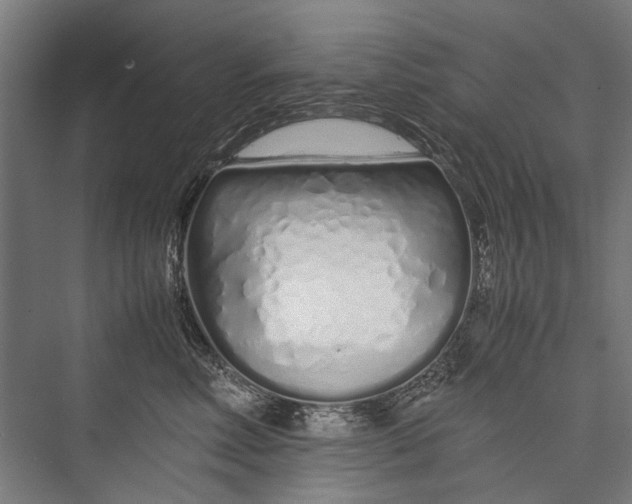 X0000075410618200610061959