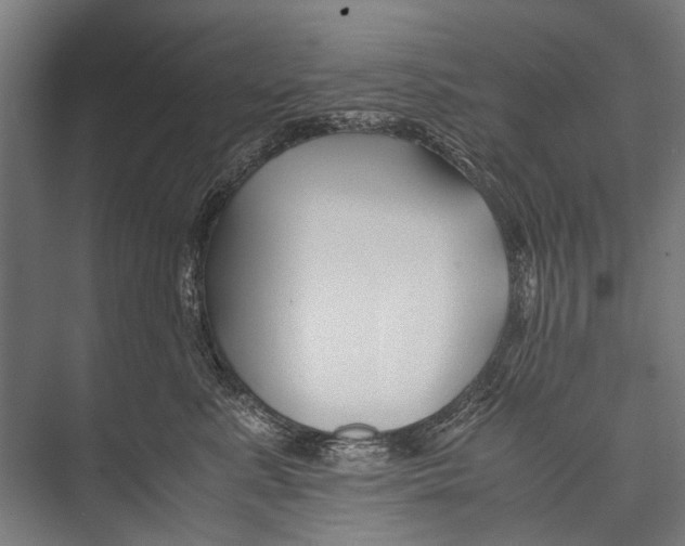 X0000075410619200610061959