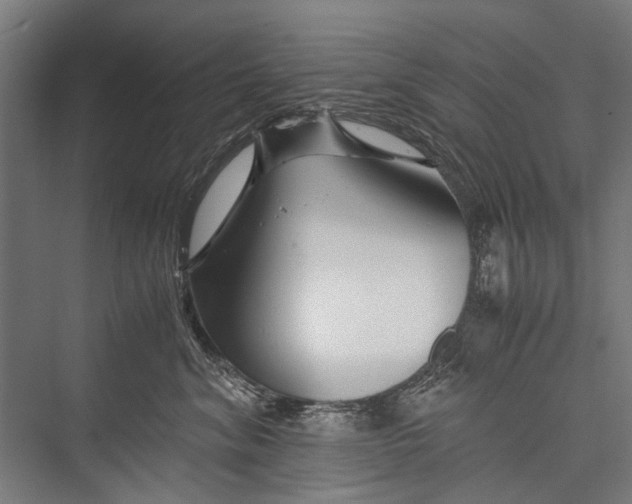 X0000075410620200610061959