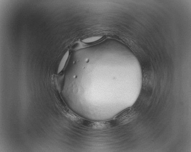 X0000075410623200610061959