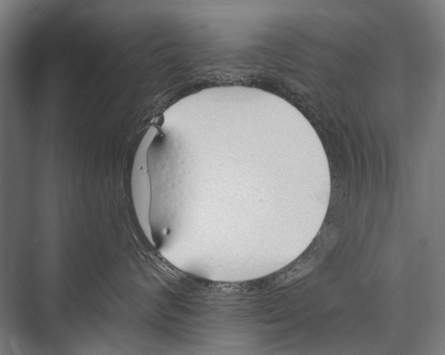 X0000075410624200610061959