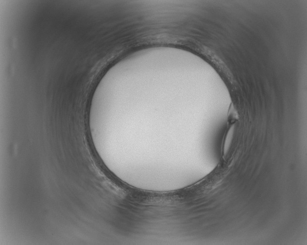 X0000075410625200610061958